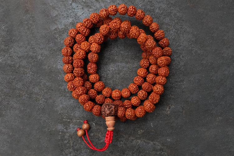 Rudraksha Beads / Mala