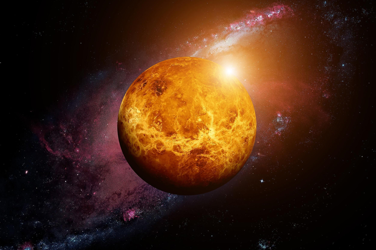 Venus in Earth Signs