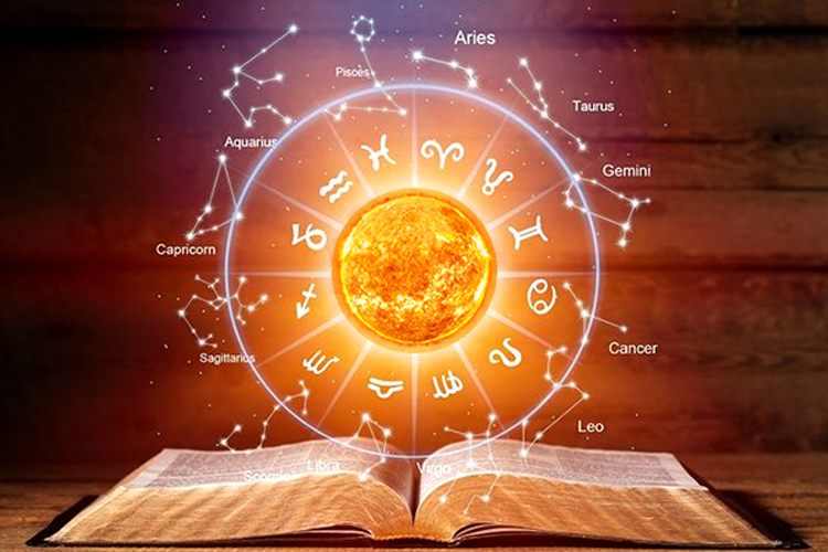 sun vitality